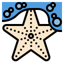 estrelas do mar