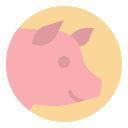 schwein