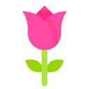 Rose flower