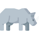 Rhinoceros