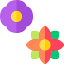 bloemen