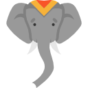 elefant