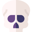 crâne