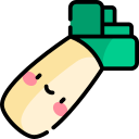 Leek