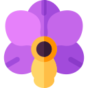 orquídea