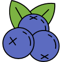 Blueberries