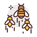 Bees