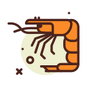 camarão