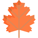 Maple leaf