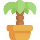 Palm tree