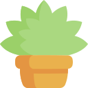 vaso de plantas