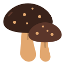 champignon