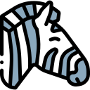 zebra