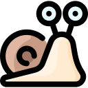 caracol