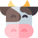 vache