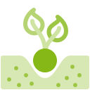 Grow plant