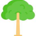 arbre