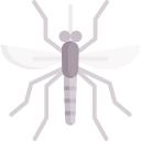 mosquito