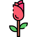 rosa