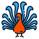 Peacock