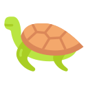 schildpad