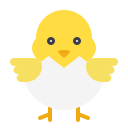 Chick