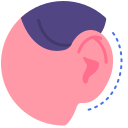 orecchie