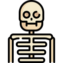 scheletro