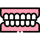 Teeth