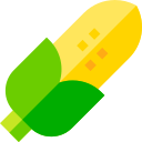 Corn