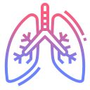 Lungs