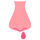 hemorragia nasal