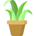 pflanze