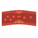 cholestérol