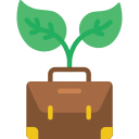 Briefcase