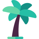 palmera datilera