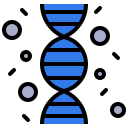 Строка ДНК