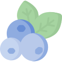 Blueberry