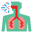 sistema respiratório