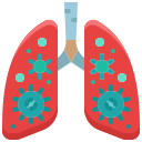 pulmões infectados