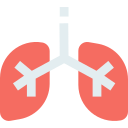 Lungs