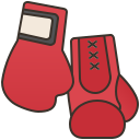 gants de boxe