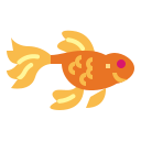 Goldfish