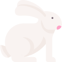 lapin