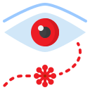 Eye