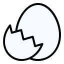 skorupka jajka