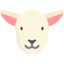 子羊
