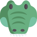 Alligator