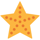 estrela do mar
