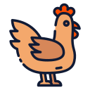 Hen